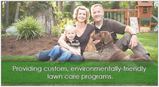 lawn care fayetteville ga lawn care fayetteville ga