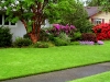 top lawn care fayetteville ga