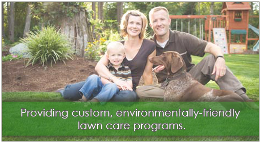 lawn care newnan ga